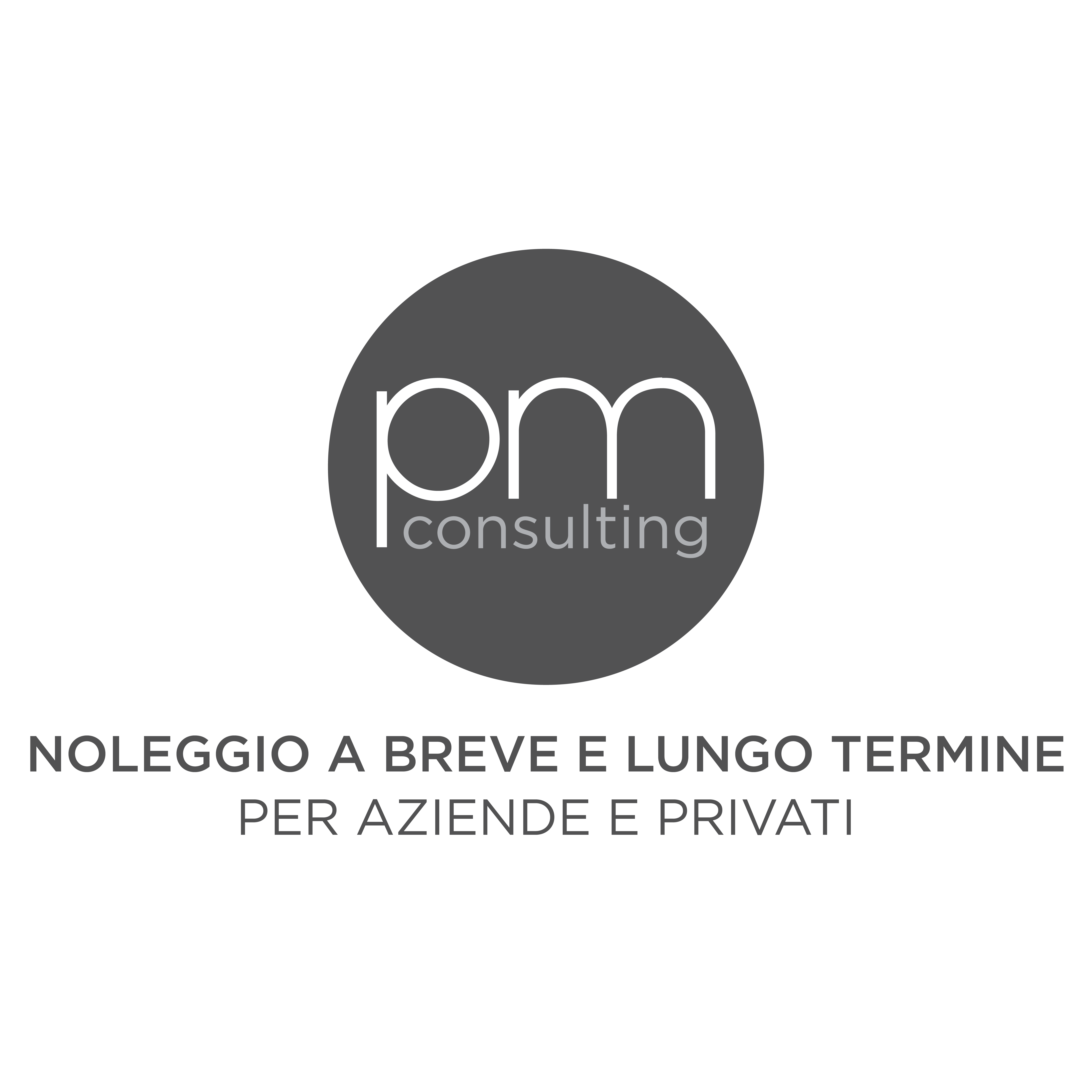 pm-consulting-logo